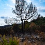 UME despliega tercer batallón en Castellón tras incendio de 133 hectáreas por rayo