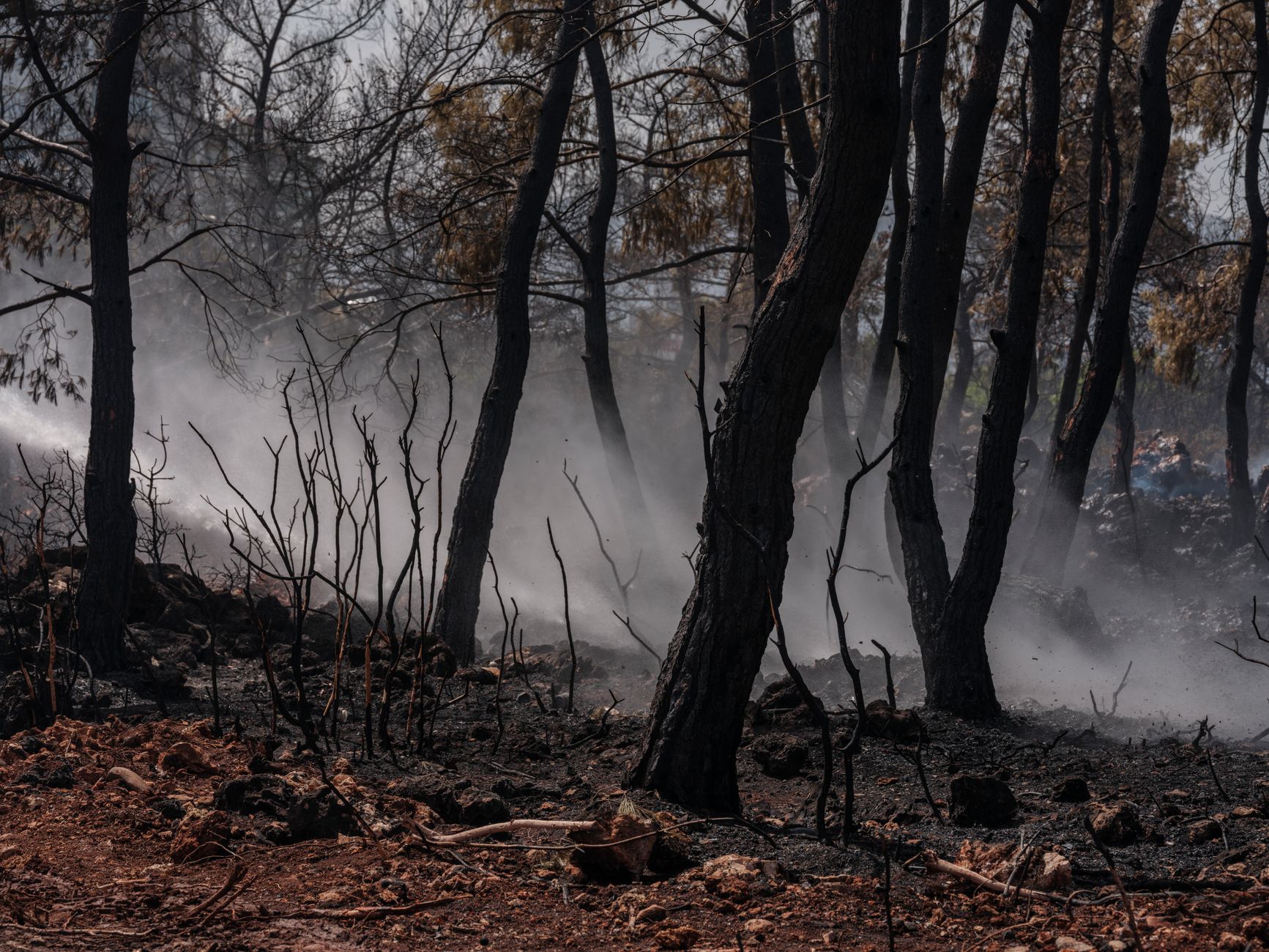 Madrid acusa a Sanidad de llegar tarde con la ayuda psicológica tras los incendios