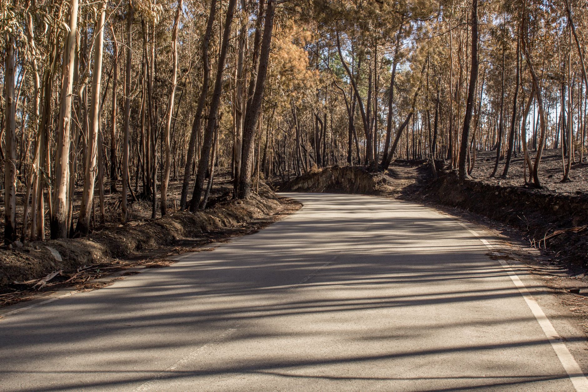 La Generalitat valenciana cierra todos los parques naturales el 12 de agosto