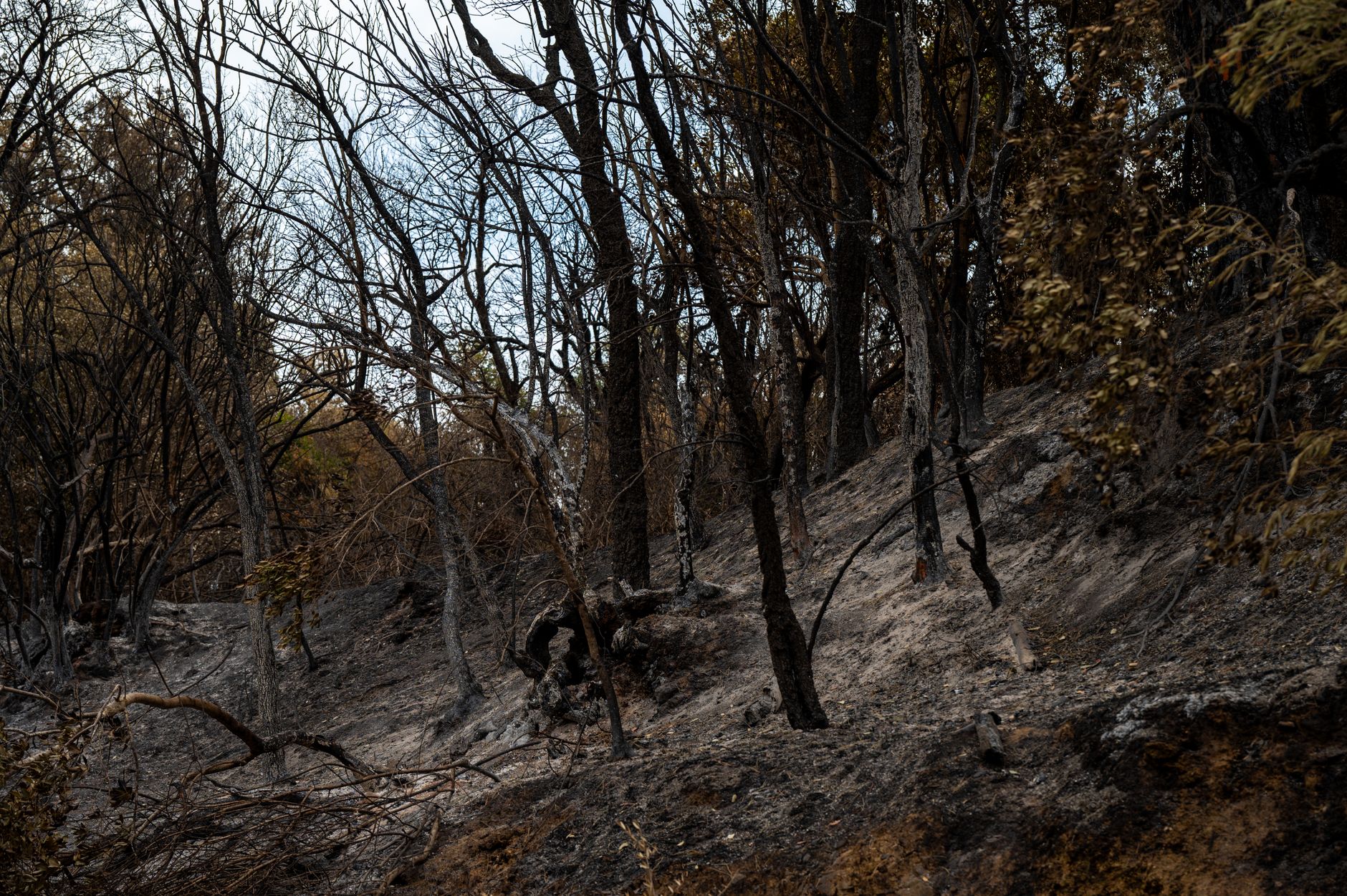 Junta de Andalucía declara "evolución positiva" en incendio de Niebla con 875 efectivos desplegados