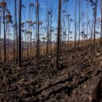 Incendio en Aldea del Fresno obliga a evacuar dos municipios con 25 medios desplegados