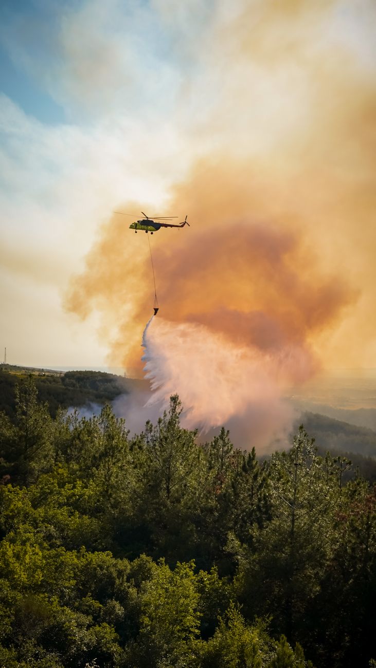 Robles visita al BIEM IV de la UME en una de las peores campañas forestales de España