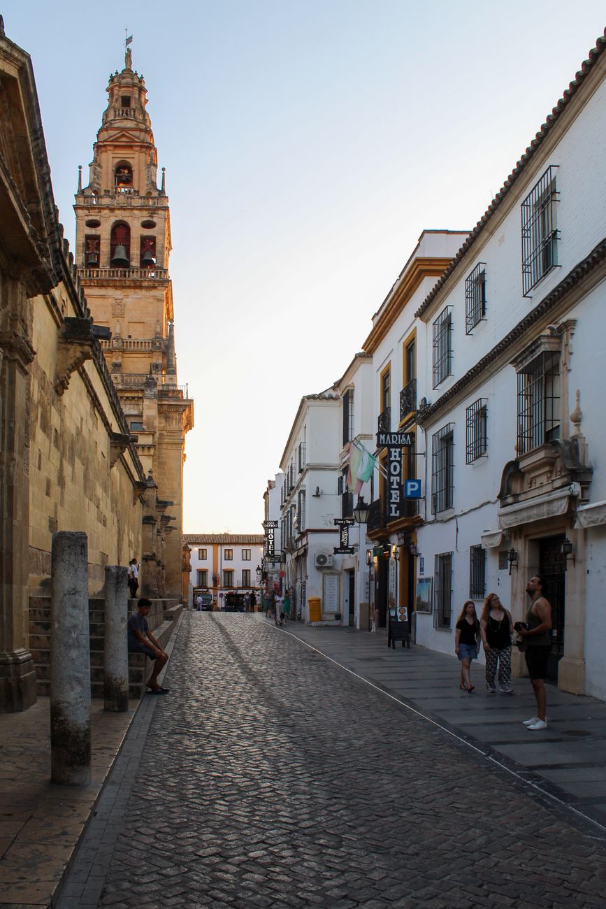 Facua Córdoba denuncia el abandono del cementerio de San Rafael y exige un plan urgente