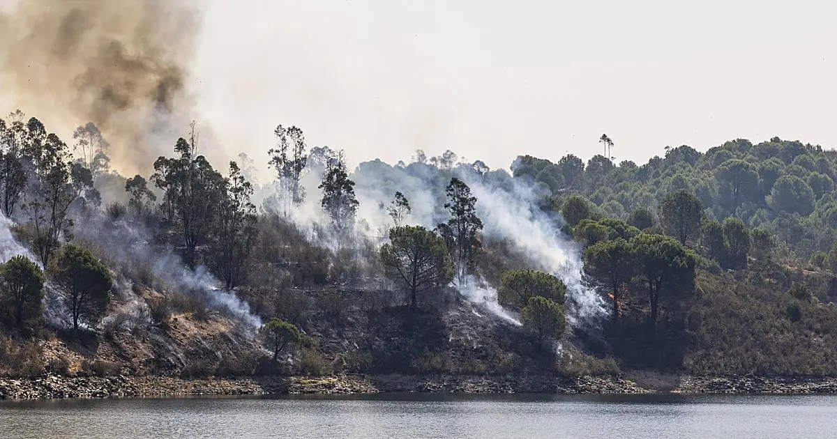 Andalucía pide al Gobierno cubrir el 50 % del incendio de Niebla