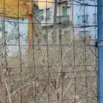 Vox exige a Córdoba limpiar solares privados ante las plagas