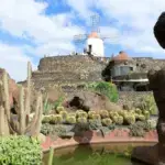 FSOC se desvincula de la plaza del hijo del consejero de los CACT