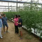 Almería pide al Gobierno más apoyo para el campo en Fruit Attraction