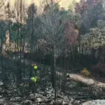 La Generalitat eleva a 4,2 millones la recuperación de la Sierra de Espadán