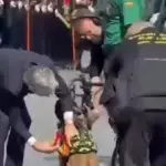 Marlaska preside en Cádiz el homenaje a los perros de rescate de aludes