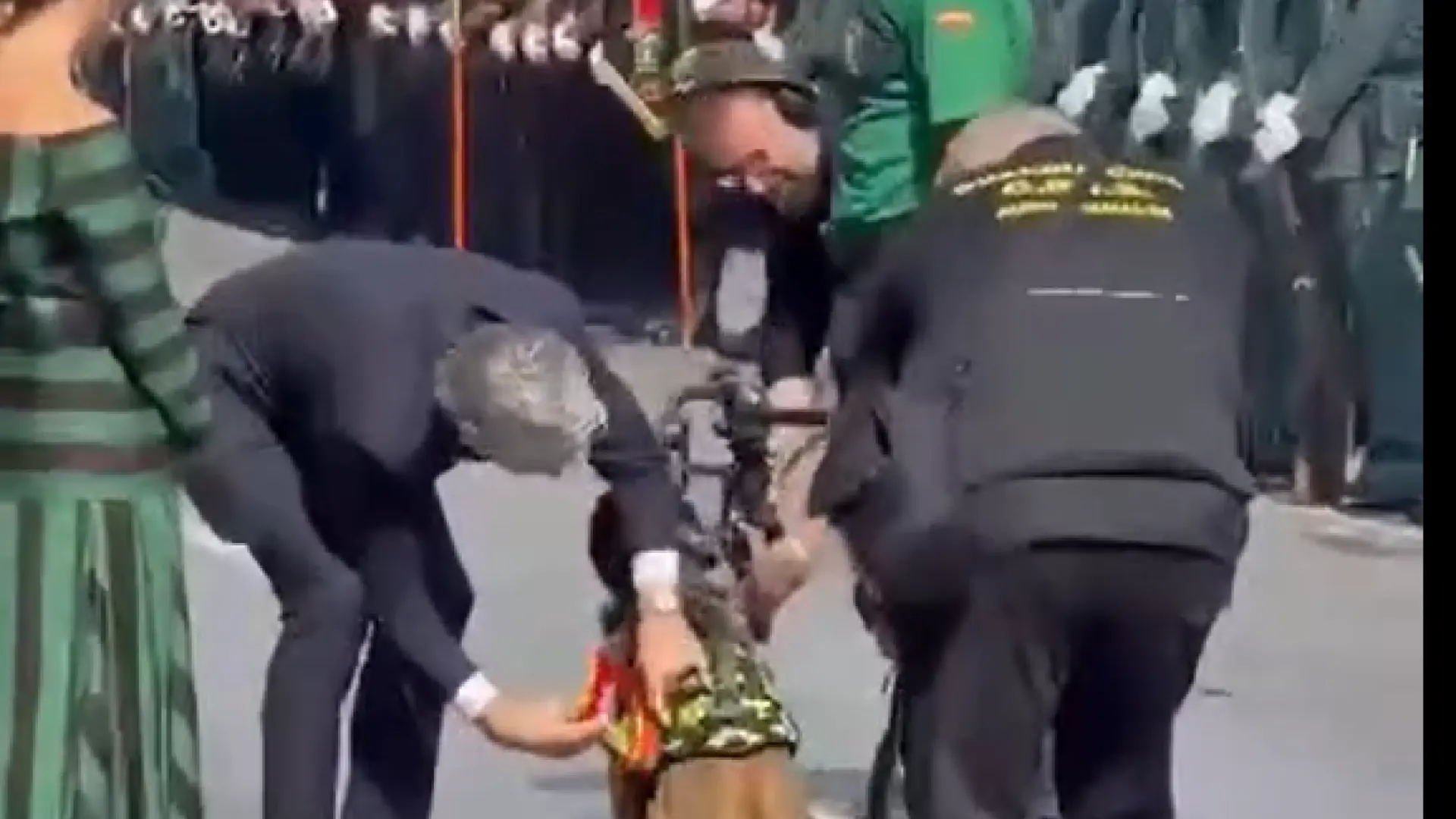 Marlaska preside en Cádiz el homenaje a los perros de rescate de aludes