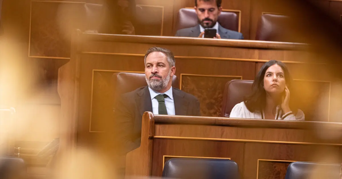 Vox solicita al Supremo garantía de cumplimiento del auto sobre la ley de nietos