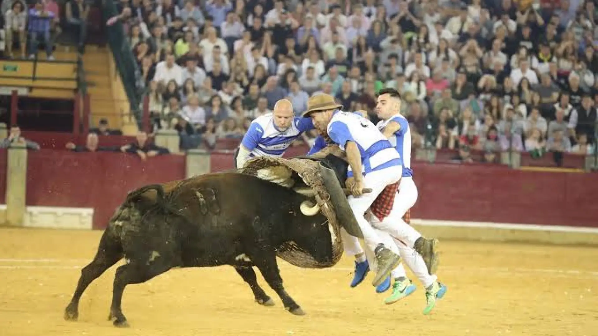 Las Cortes de Aragón aprueban impulsar la tauromaquia como bien cultural