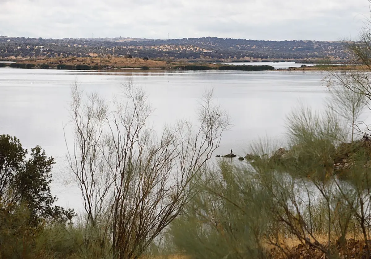 El Guadiana no resuelve en cinco meses el recurso por La Colada