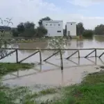 La Junta concluye la reparación de 101 caminos rurales en Cádiz