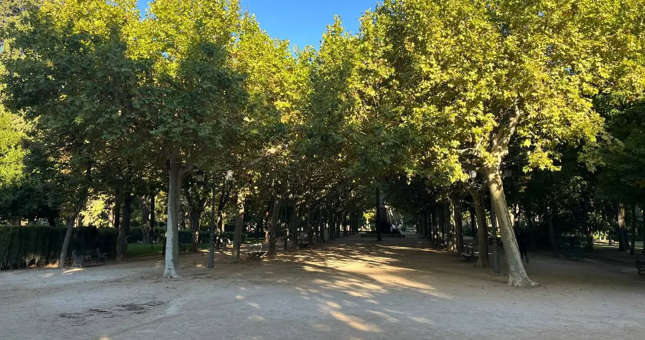 Huesca actualiza el Plan Director del parque Miguel Servet