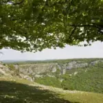 Adelante Andalucía exige paralizar cantera con 30 años de autorización Adelante Andalucía exige paralizar cantera con 30 años de autorización