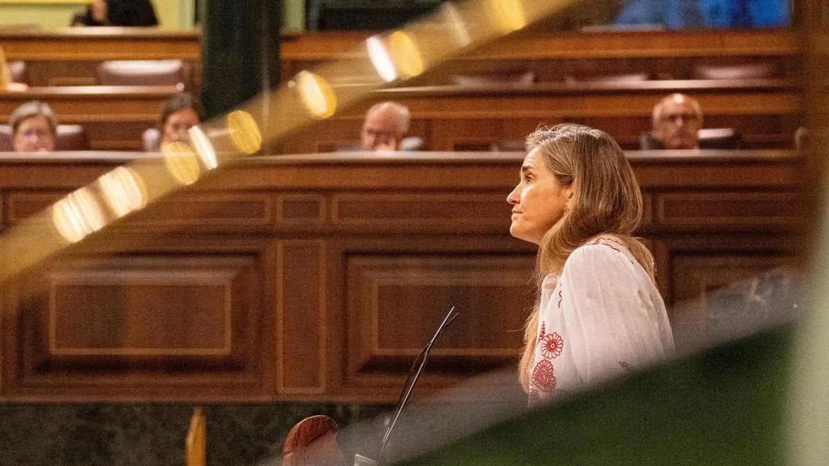 El Gobierno acelera un real decreto para liberar capacidad eléctrica