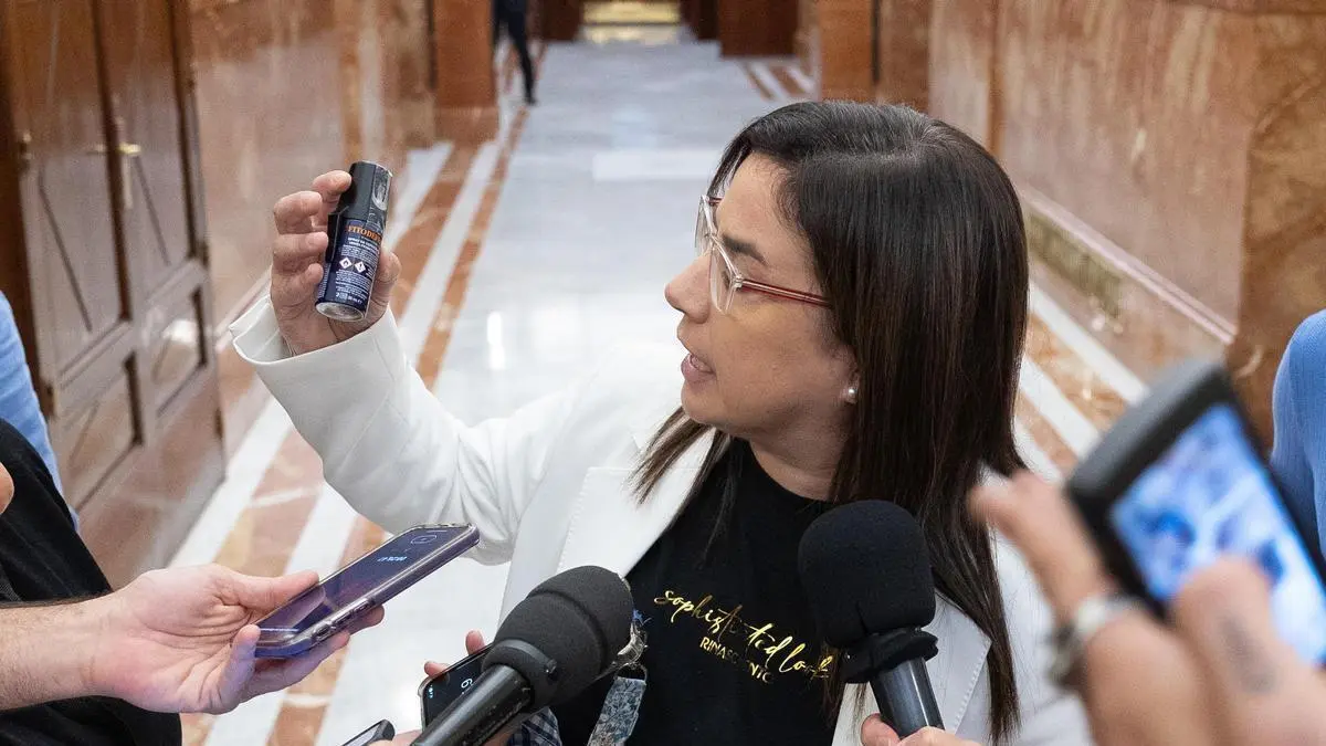 La Mesa suspende expediente tras infracción grave de Ana Belén Vázquez