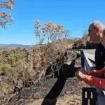 Piden retirar cenizas y lodos de cunetas tras incendio de El Tiemblo Piden retirar cenizas y lodos de cunetas tras incendio de El Tiemblo
