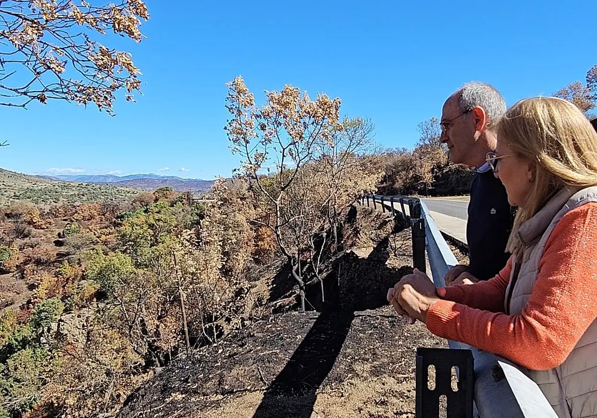 Piden retirar cenizas y lodos de cunetas tras incendio de El Tiemblo
