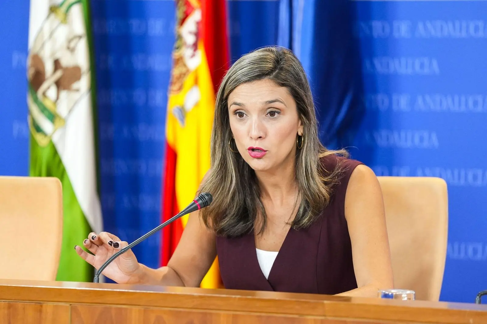 El PSOE denuncia PP y Vox nombran a Bosquet sin pacto