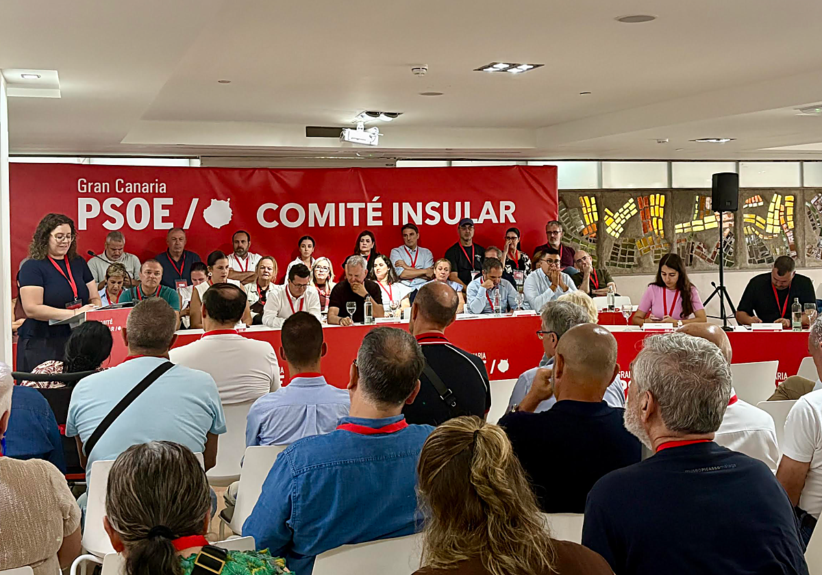 Pedro Martín y Alicia Álvarez son candidatos al Senado por Tenerife