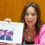 Andalucía iniciará un recurso contra dos decretos de vivienda