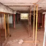 Patricova incrementa en un 61,2 % la zona de riesgo a 43.779 ha