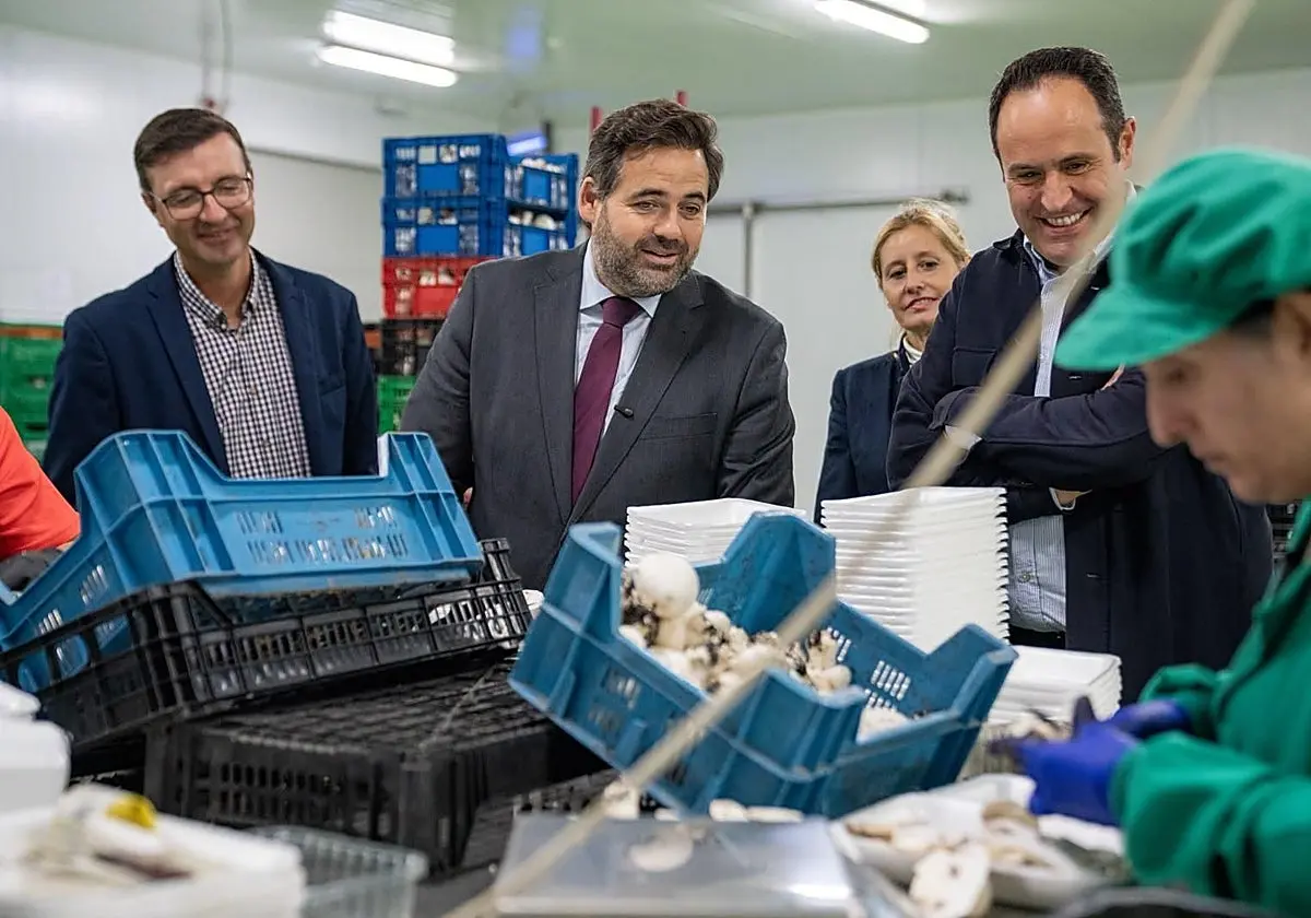 El presidente del PP de Castilla-La Mancha propone medidas al campo