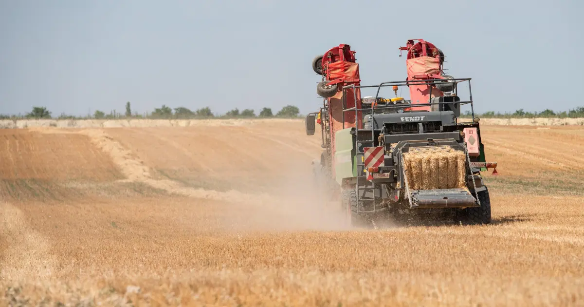 Irlanda recorta 141.000 millones de euros de la PAC