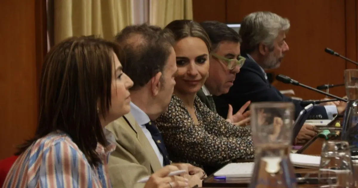 El PP impulsa la única enmienda del pleno de vivienda en Córdoba