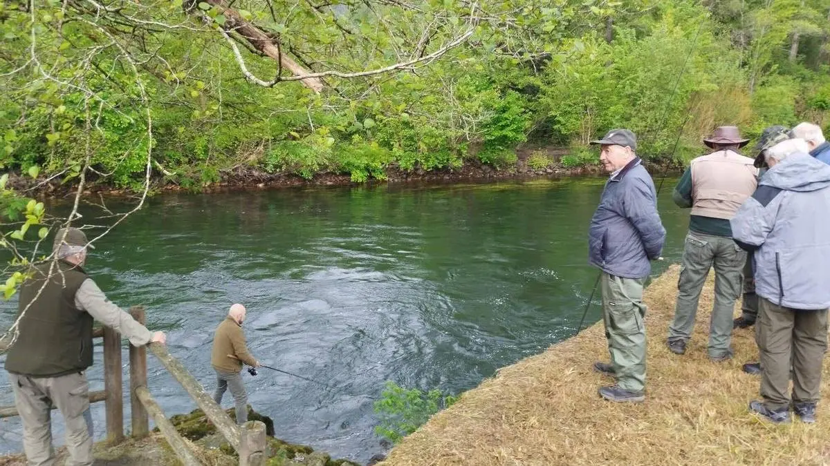 Asturias propone vedar la pesca del salmón en todos sus ríos en 2027
