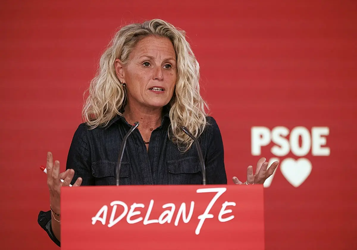 La portavoz del PSOE, Montse Mínguez, renuncia a la política tras la polémica por los 30 pisos de su novio