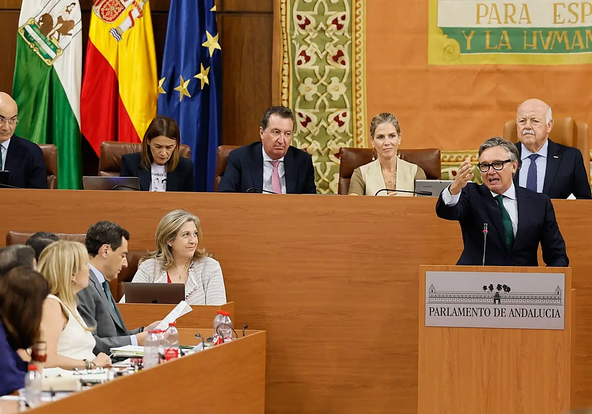 Manuel Gavira (Vox), en el Parlamento de Andalucía Manuel Gavira (Vox), en el Parlamento de Andalucía. (EFE)