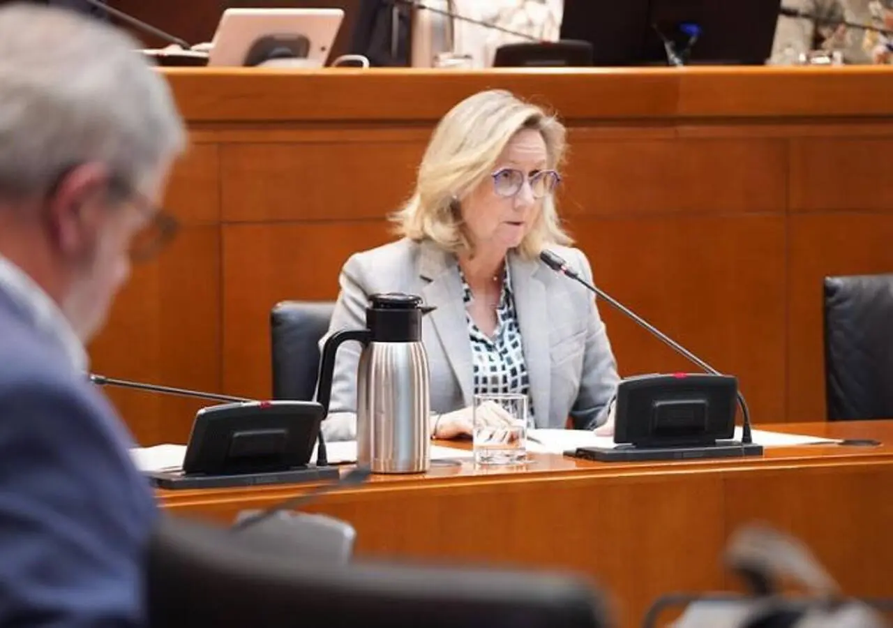 Ana Castillo, ex directora gerente del Servicio Aragonés de Salud, nueva directora general de Inspección y Política Sanitaria