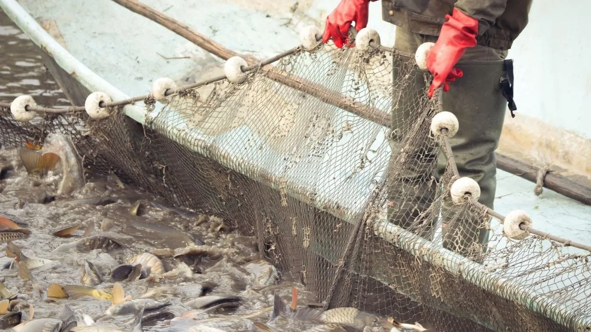 El Gobierno activa el mecanismo de optimización de pesca en el Mediterráneo Flota de arrastre. | Junta de Andalucía