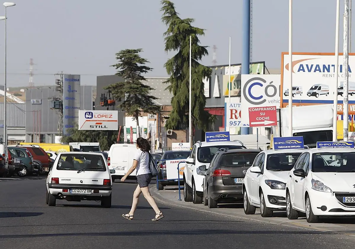Una mujer cruza la caterrera en el acceso del polígono de la Torrecilla Una mujer cruza la caterrera en el acceso del polígon