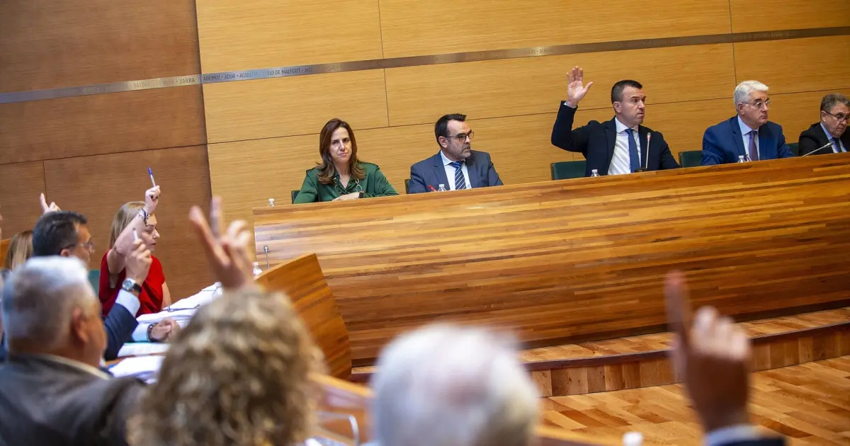 Mompó desempata y la Diputación de Valencia aprueba dos mociones de Vox