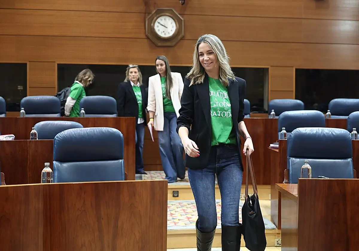 Mar Espinar y el resto de diputados del PSOE han llevado camisetas verdes al Pleno de la Asamblea Mar Espinar y el resto de d