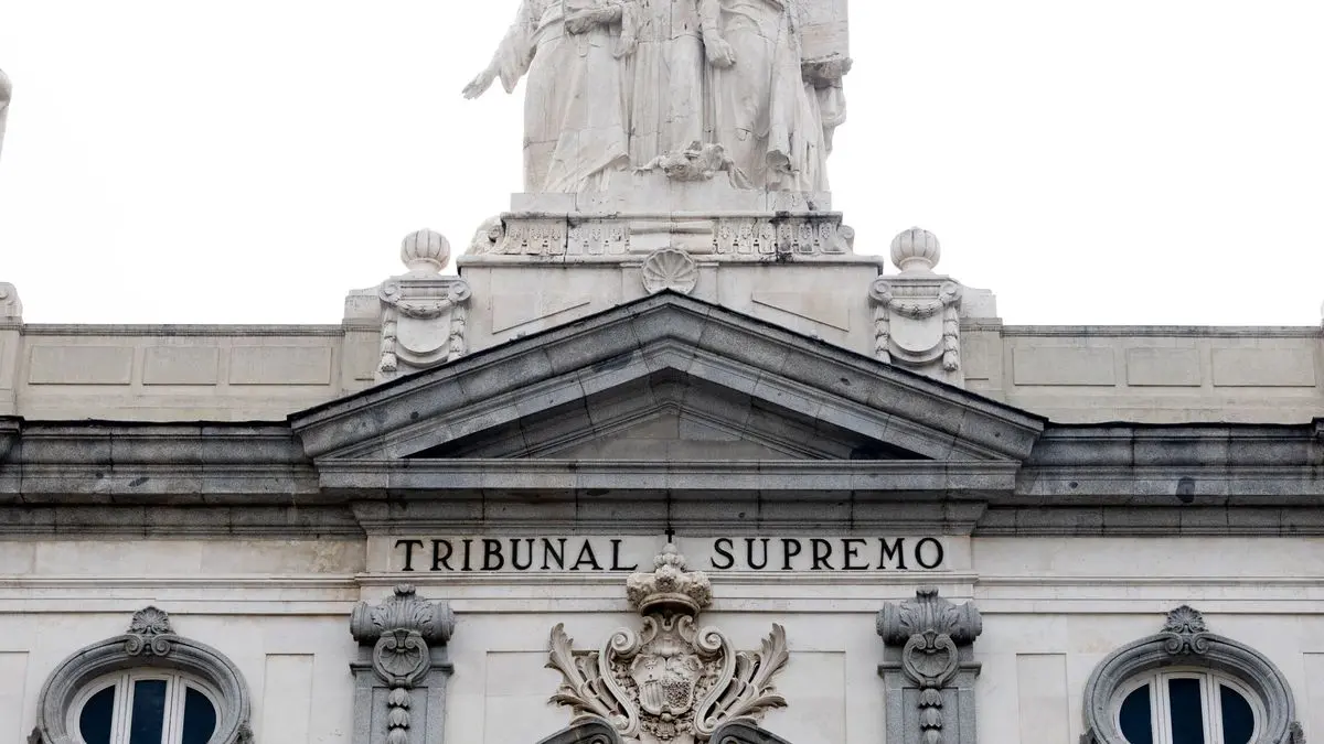 Tres afectados por la ley de nietos se personan ante el Supremo y denuncian que se vulnera su derecho al voto