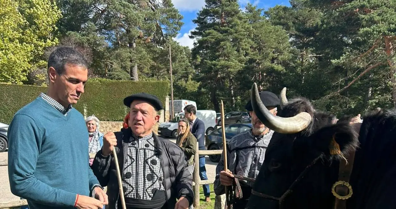 El presidente del Gobierno, Pedro Sánchez, visitó la localidad de Quintanar de la Sierra, comió con miembros de la Real Cabañ