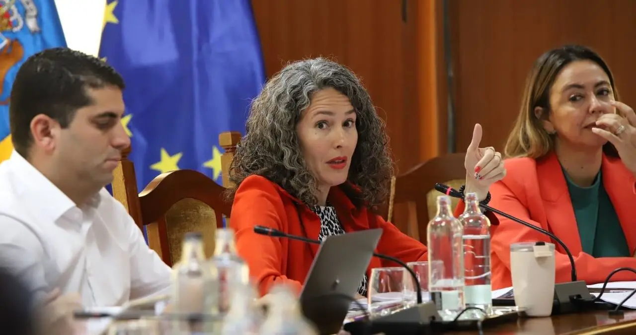 Ariagona González, portavoz del PSOE en el Cabildo de Lanzarote. / Cadena SER