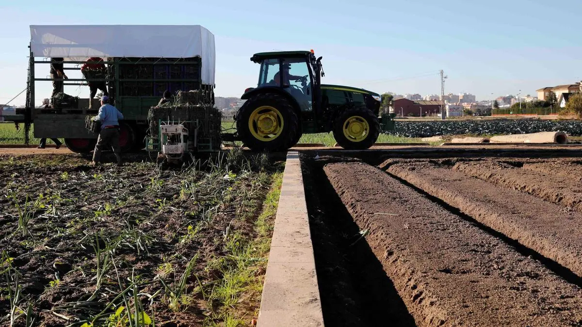 Agricultura abre a consulta una rebaja del IRPF de 860 millones para 800.000 agricultores y ganaderos