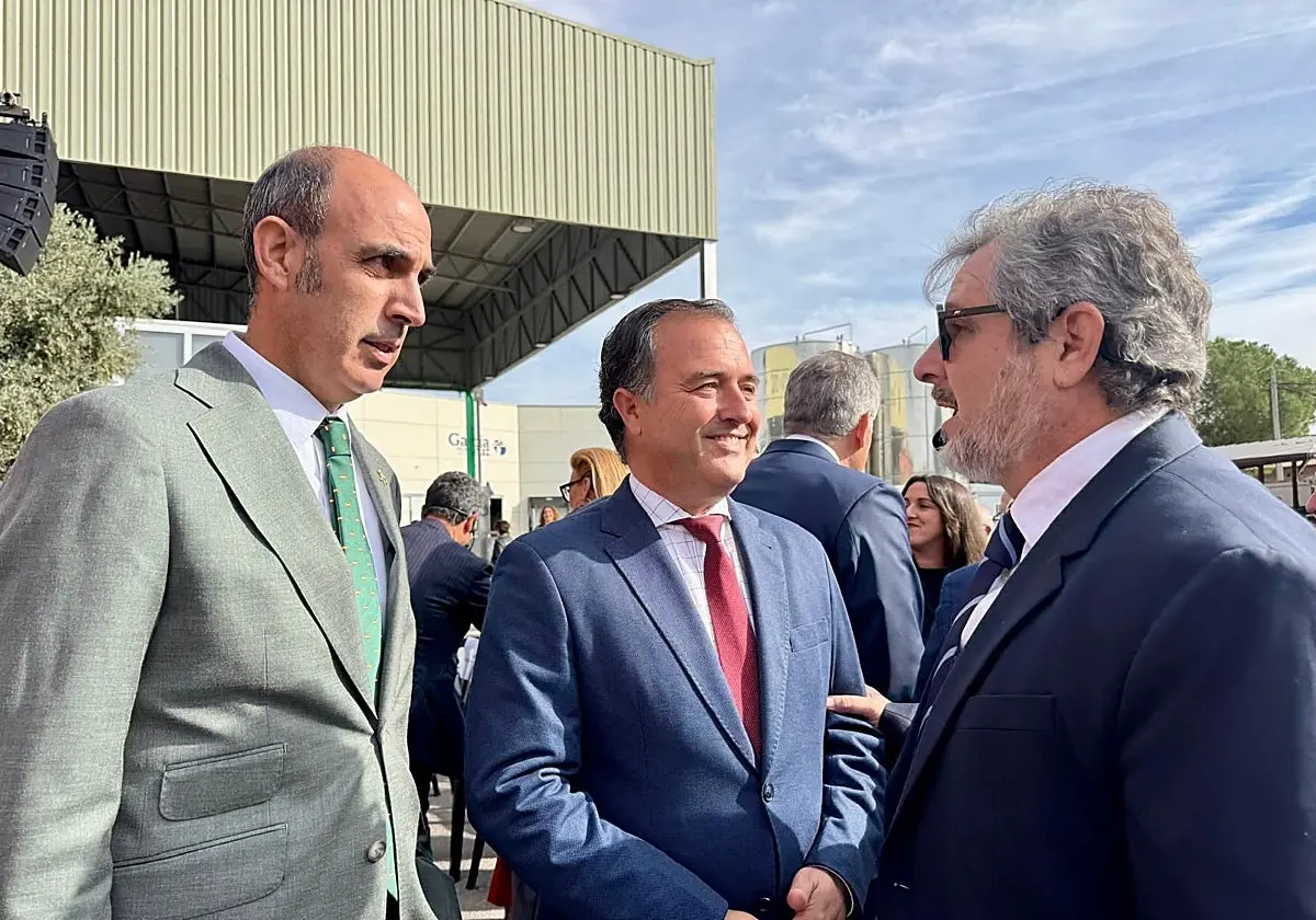 Vox denuncia la “indefensión” del olivar de Castilla-La Mancha ante las importaciones de terceros países
