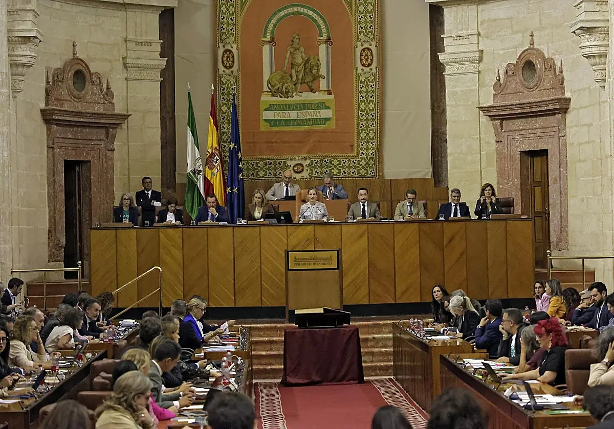 Una imagen del pleno del Parlamento Una imagen del pleno del Parlamento. (Juan Flores)