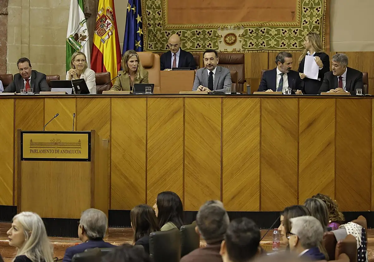Una imagen del Parlamento de Andalucía Una imagen del Parlamento de Andalucía. (Juan Flores)