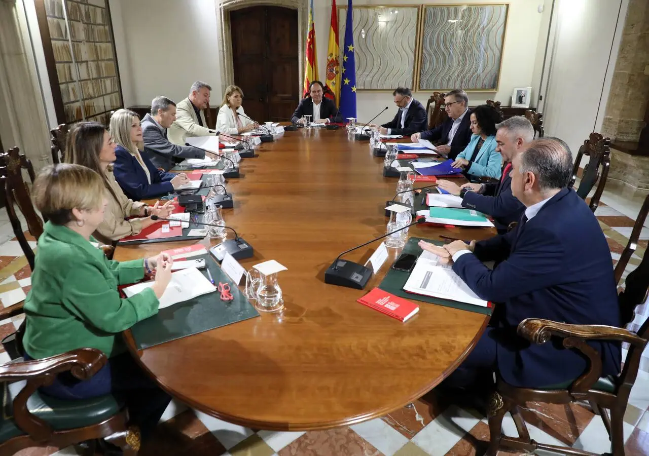 Última reunión del pleno del Consell con la presencia de Elena Albalat, este viernes. / GVA