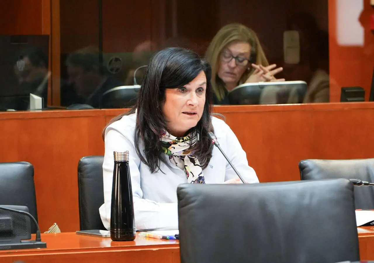 Isabel Lasobras, portavoz de CHA en las Cortes de Aragón