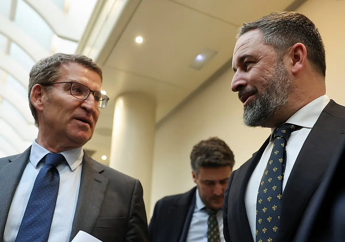 Núñez Feijóo y Santiago Abascal Núñez Feijóo y Santiago Abascal. (EFE)