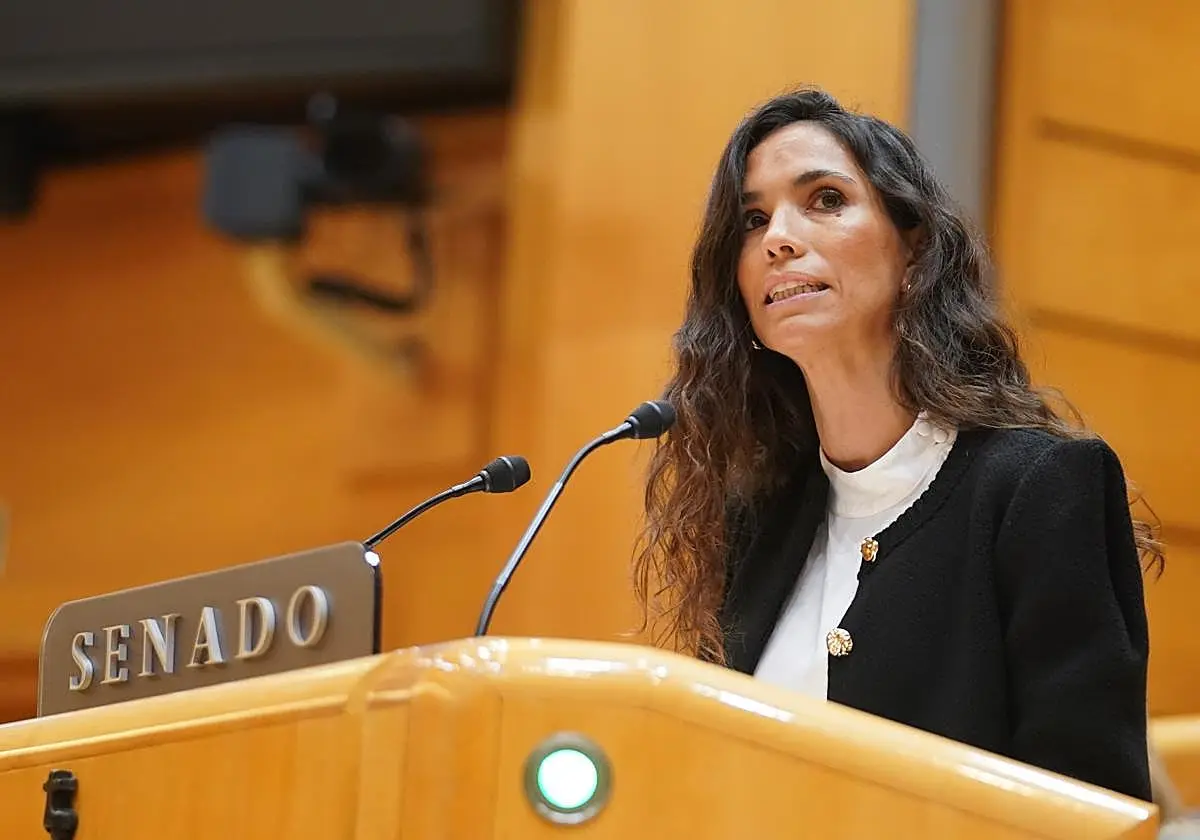 Lorena Guerra, nueva cabeza de lista del PP al Congreso, durante una intervención en el Senado Lorena Guerra, nueva cabeza de